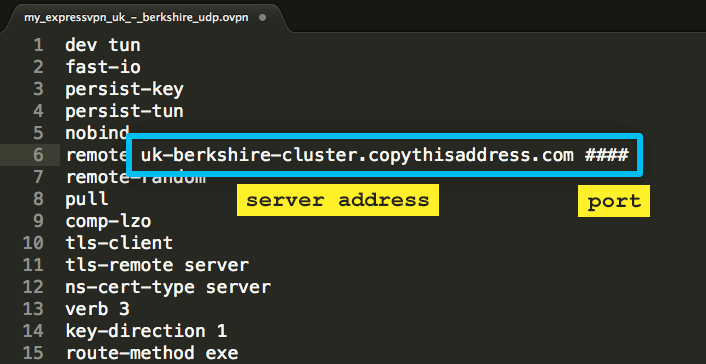 nokopējiet servera adresi no .ovpn konfigurācijas faila