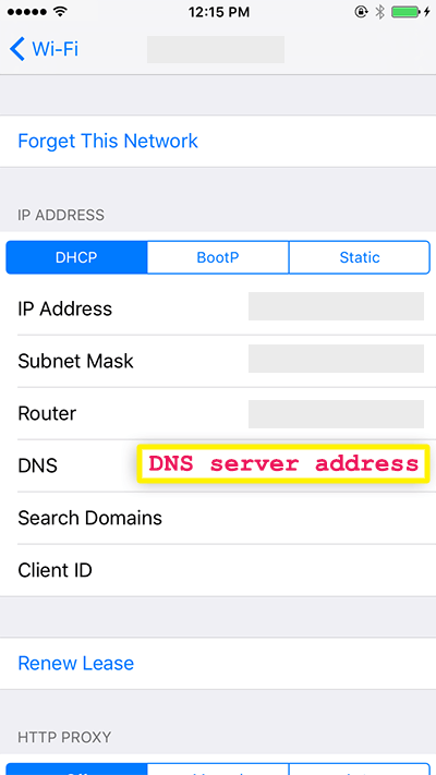 введите адрес DNS-сервера
